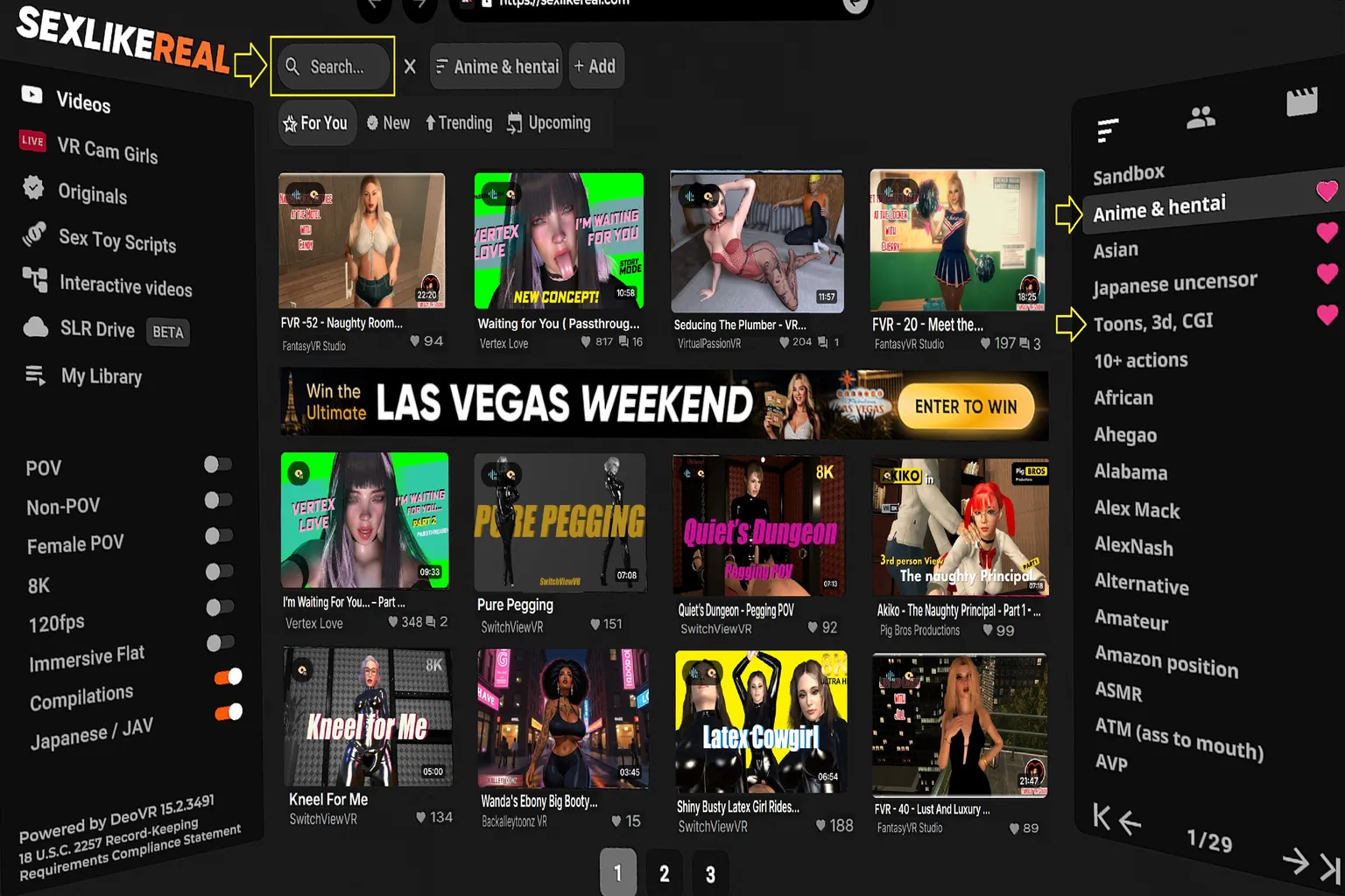 Eine Szene aus der Hauptoberfläche von SLR mit zwei Kategorien: Anime & hentai und Toons 3D CGI. Das Layout zeigt mehrere Video-Thumbnails mit virtuellen Charakteren sowie Filtermenüs und verdeutlicht, wie Inhalte organisiert und durchsucht werden.
