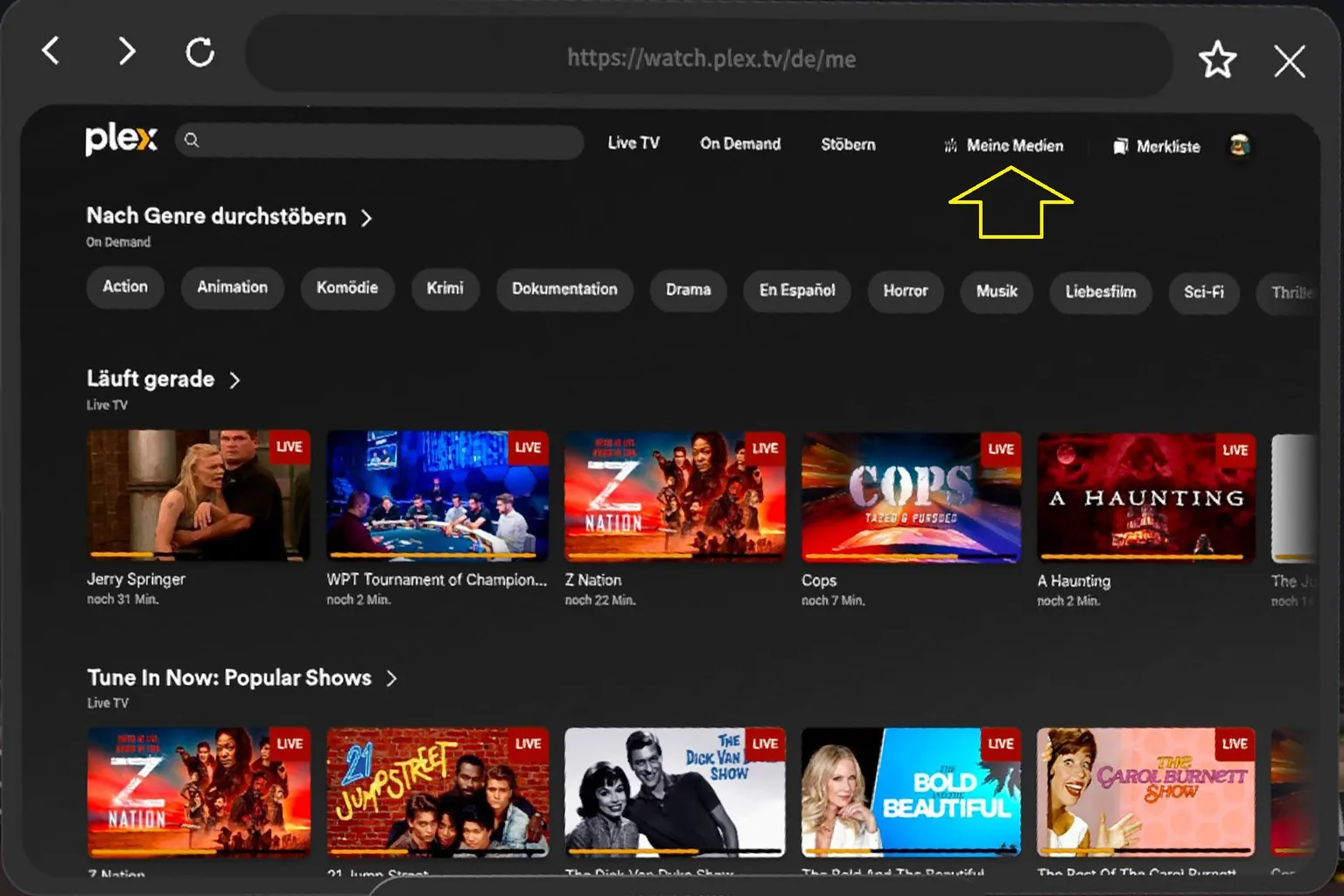 Plex Startseite im Moon VR Browser mit der oberen Navigation, wobei der Menüpunkt Meine Medien markiert ist, um auf persönliche Medienbibliotheken zuzugreifen.