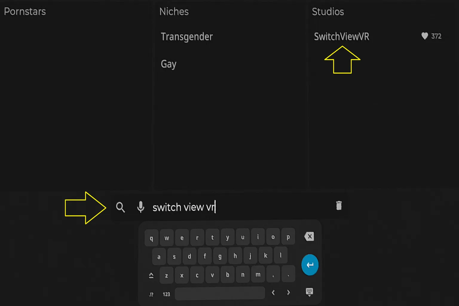 Eine SLR-Textsuche-Demo, bei der der Creator-Name „Switchview VR“ eingegeben wird. Bildschirmtastatur und Suchbutton sind sichtbar und zeigen, wie man nach einem Studio-Namen sucht.