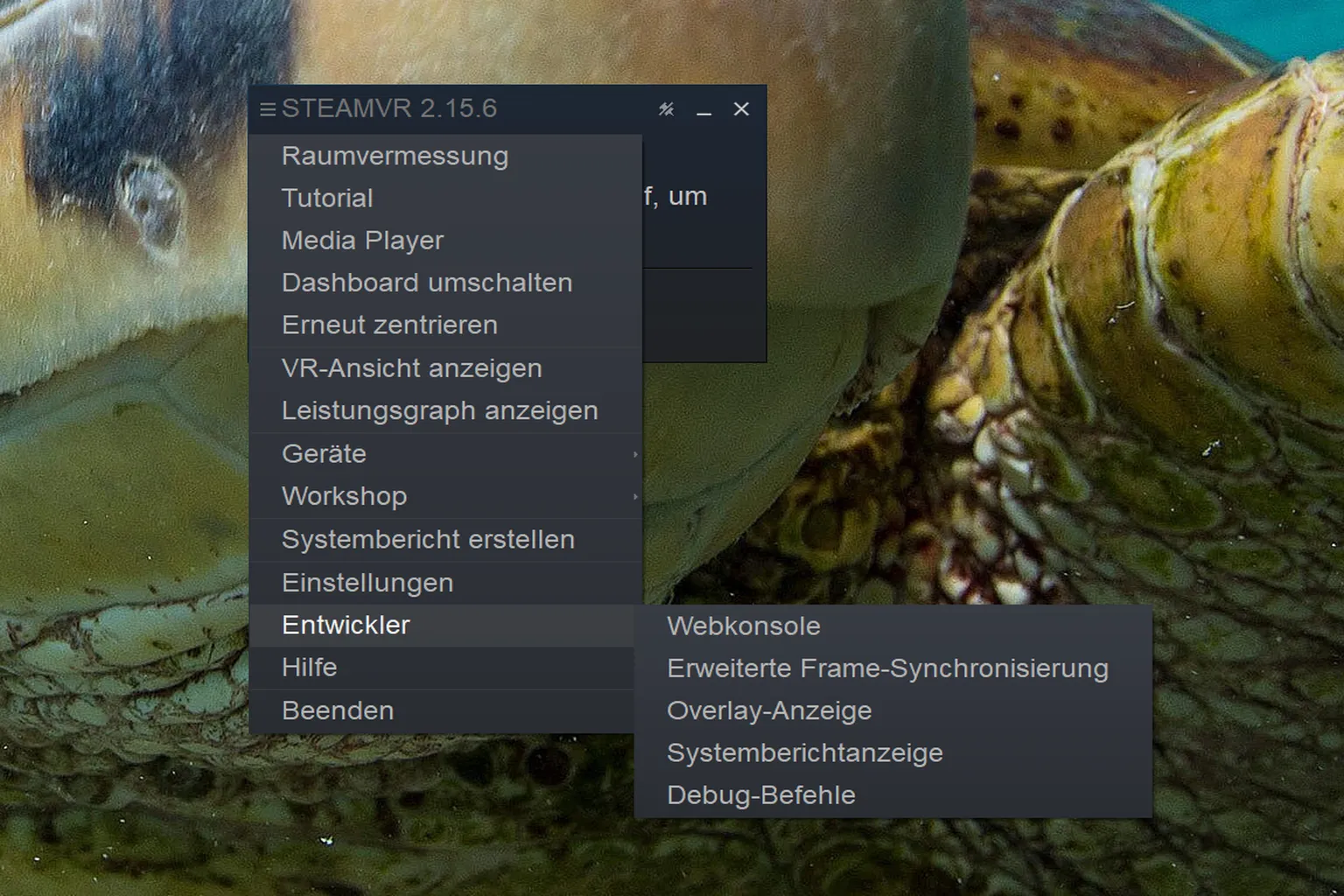 Das Entwickler-Untermenü im SteamVR-Menü bietet Tools wie eine Web-Kommandozeile, einen integrierten UI-Viewer und detailliertes Frame-Timing.