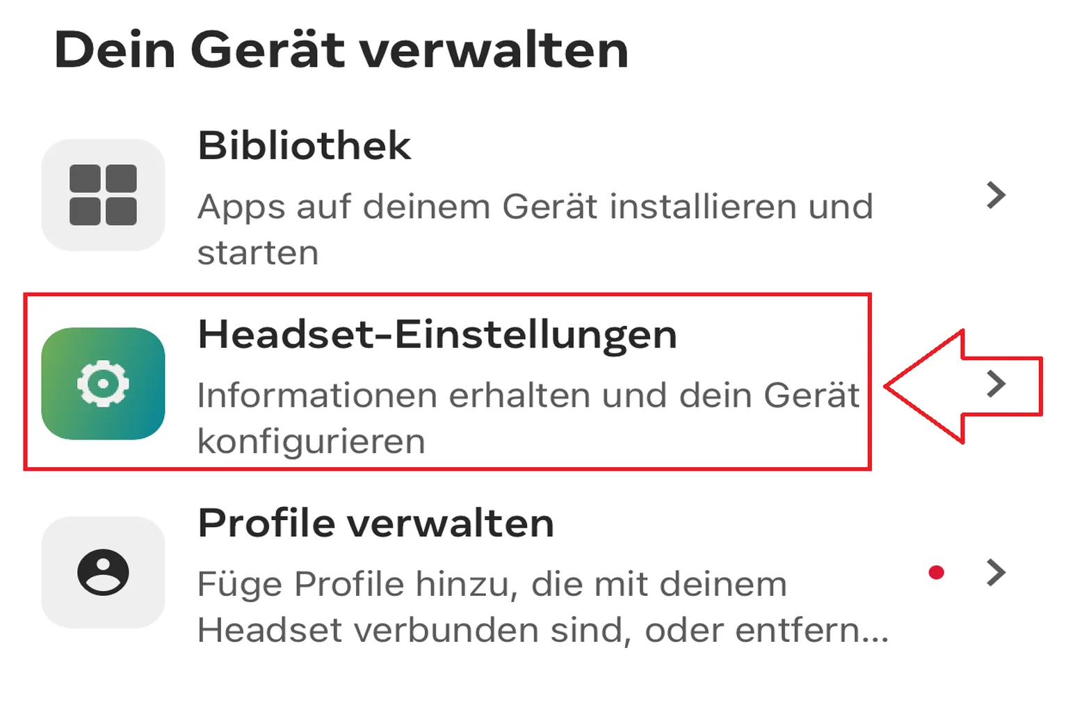 In die Headset-Einstellungen gehen und Developer Mode aktivieren vorbereiten