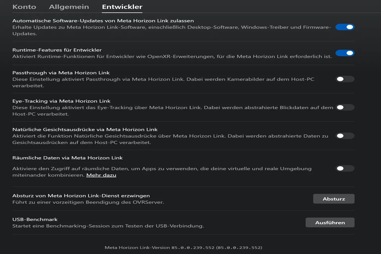 Meta Horizon Link Entwickler-Einstellungen mit Optionen für Passthrough, Eye Tracking, Gesichtsausdrücke und USB-Benchmark