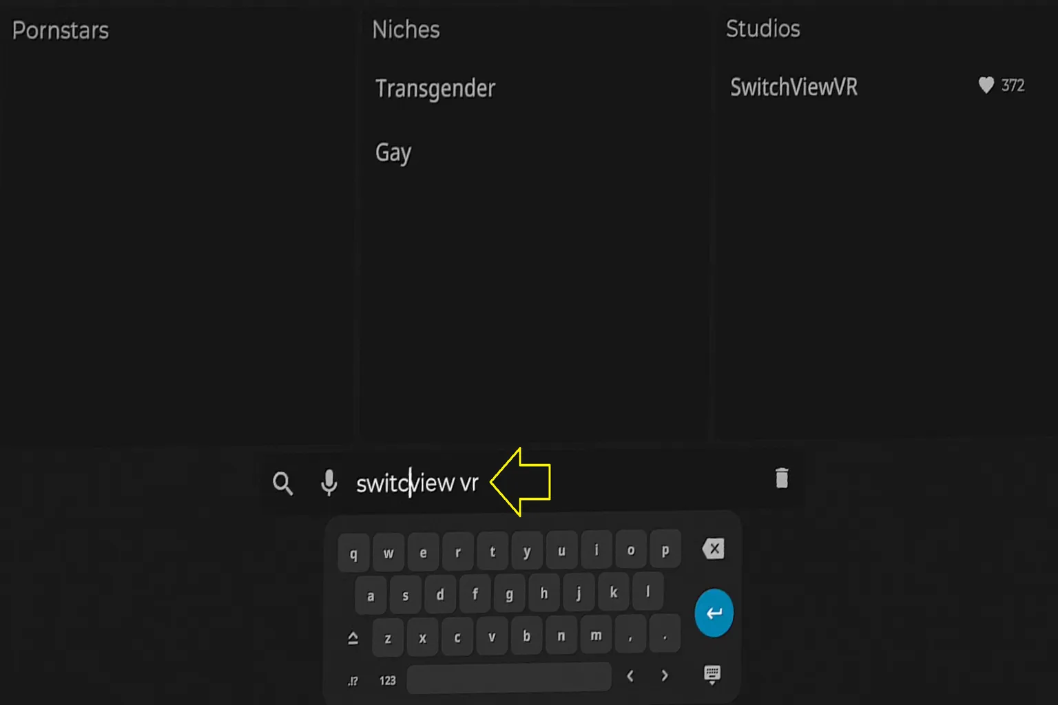 Eine Demo für einen Tippfehler in der SLR-Suche. Selbst wenn versehentlich „Switcview VR“ eingegeben wird, findet das System weiterhin Switchview VR und zeigt damit die tolerante Suchfunktion.
