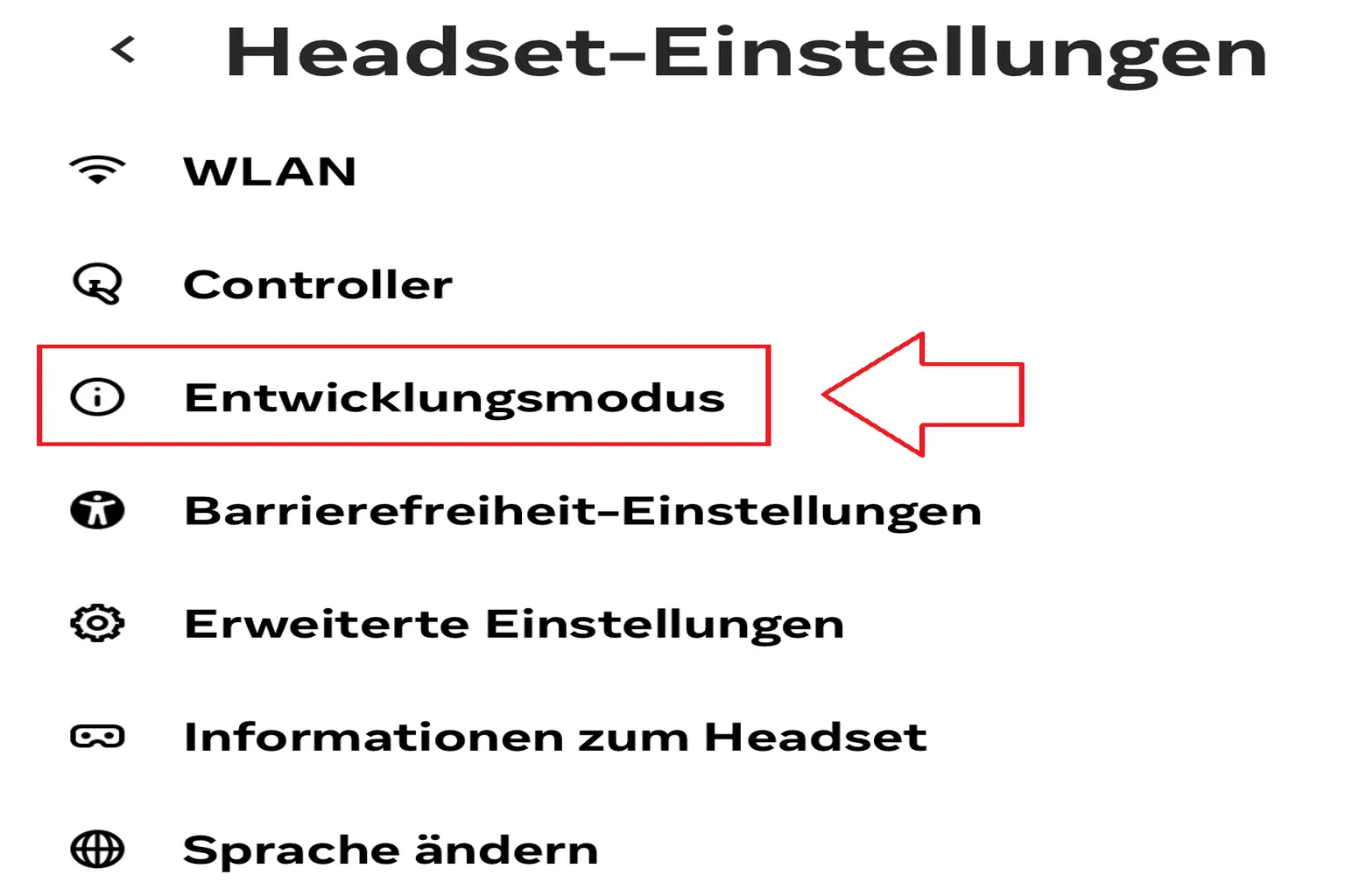 In den Headset-Einstellungen auf Developer Mode tippen