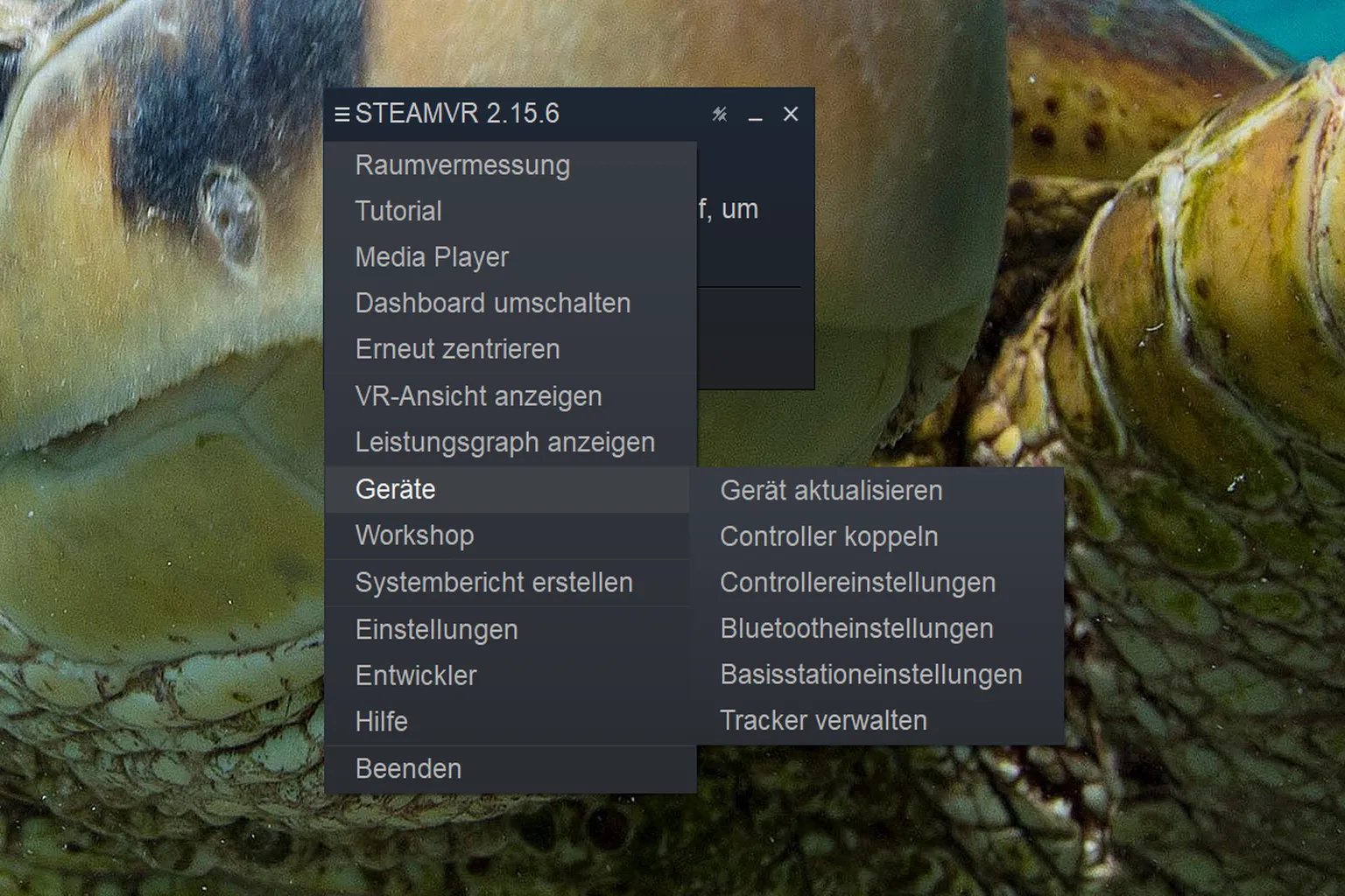 Im Menü für Geräteeinstellungen kannst du Untermenüs für Controller-Kopplung, Bluetooth-Verwaltung und Tracker-Konfiguration öffnen.