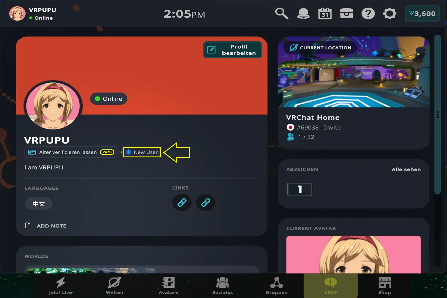 VRChat-Profil mit dem Trust Rank New User