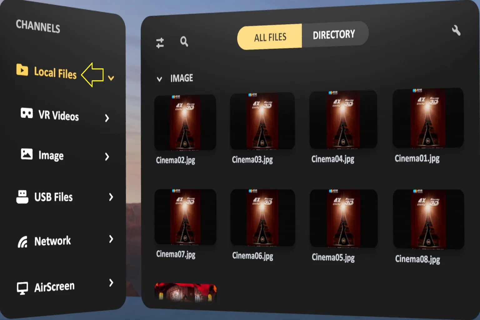 SKYBOX Player left-side menu with “Local Files” highlighted, showing access to videos stored on the headset