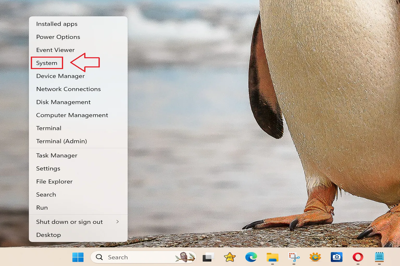 Opening Windows Settings to configure a shared account for file access.