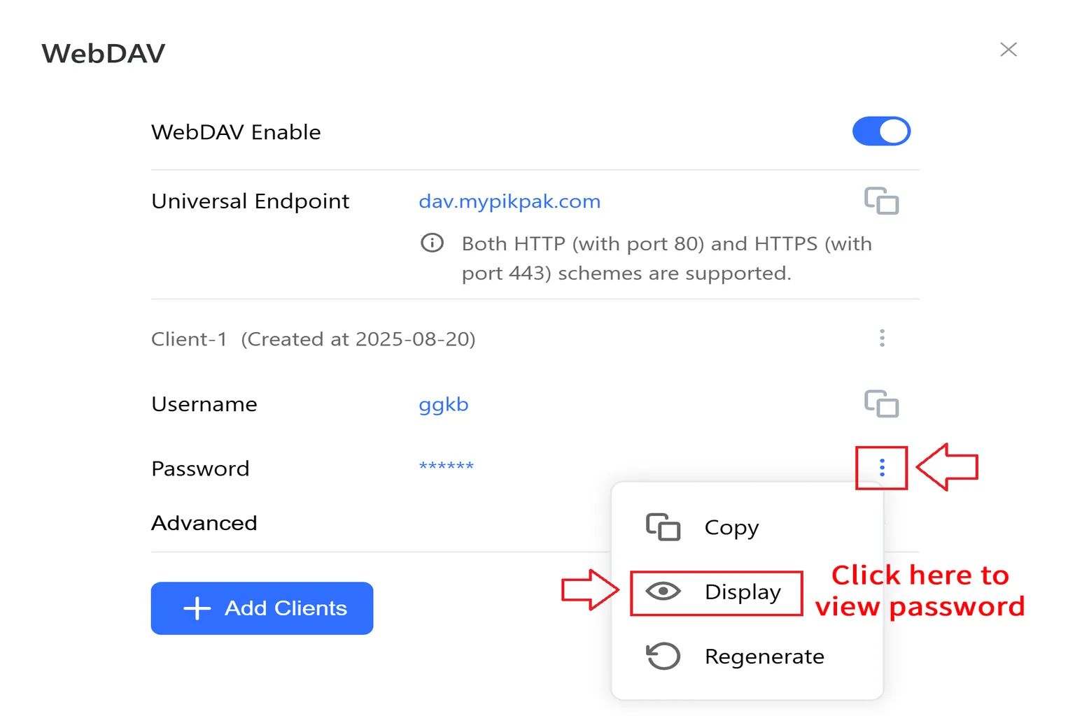 WebDAV enabled on Meta Quest, showing the connection URL, username, and password, with a button on the right to reveal the password