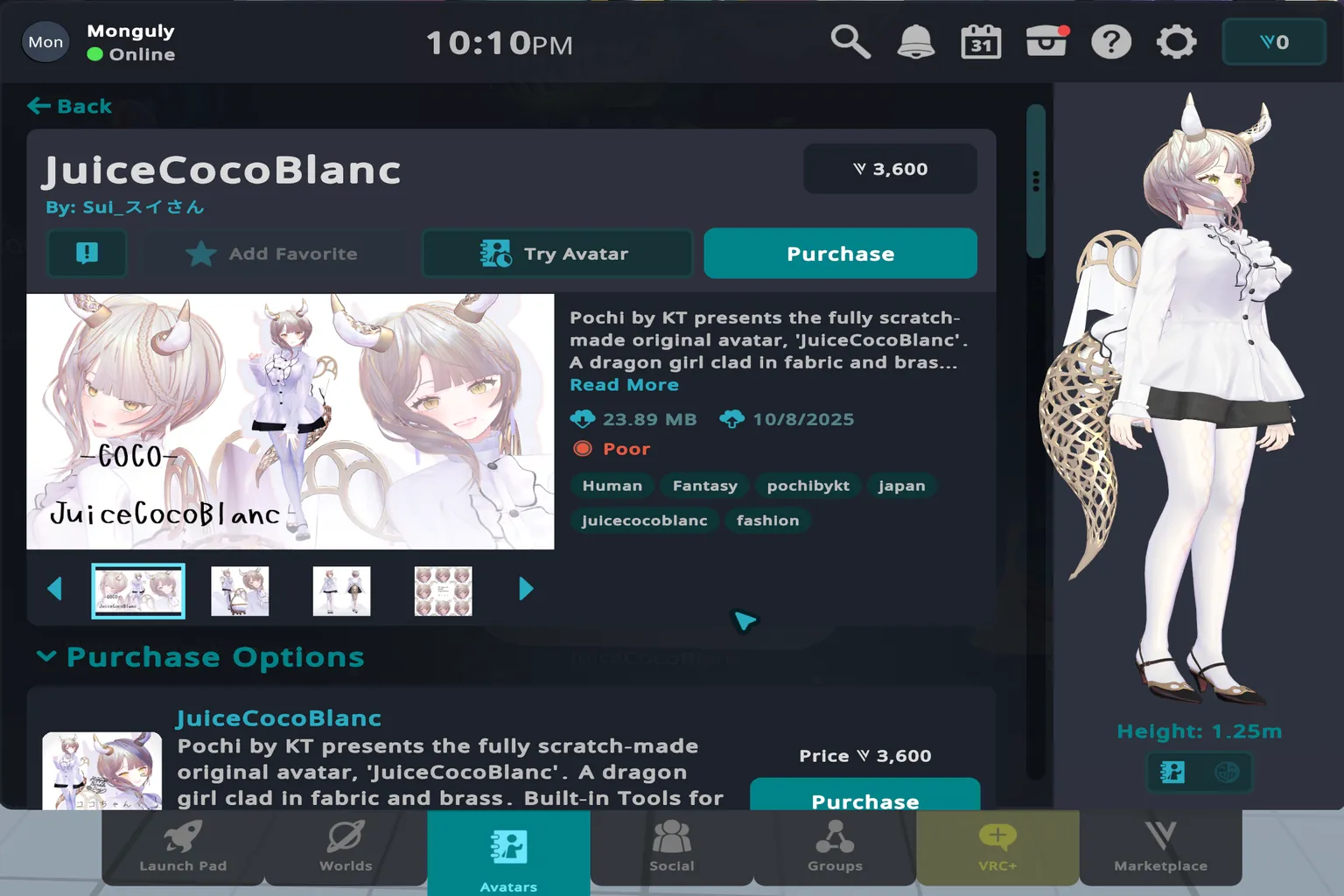 Paid VRChat avatar JuiceCocoBlanc, a finely designed horned dragon girl, priced at 3,600 yen and displayed on the store page