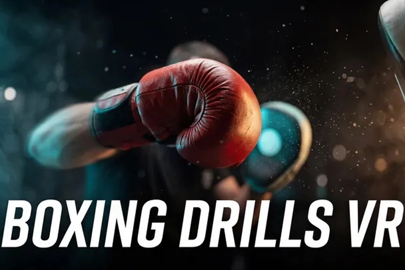 Boxing Drills VR