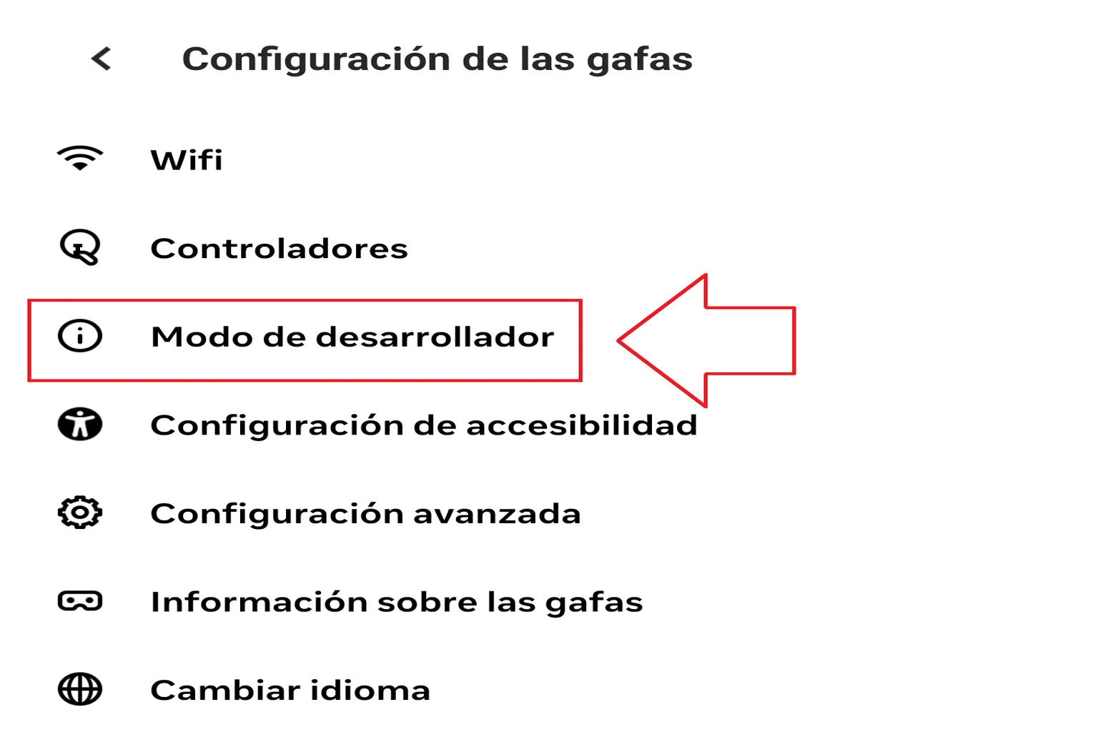 Configuración de las gafas con la opción Modo de desarrollador resaltada