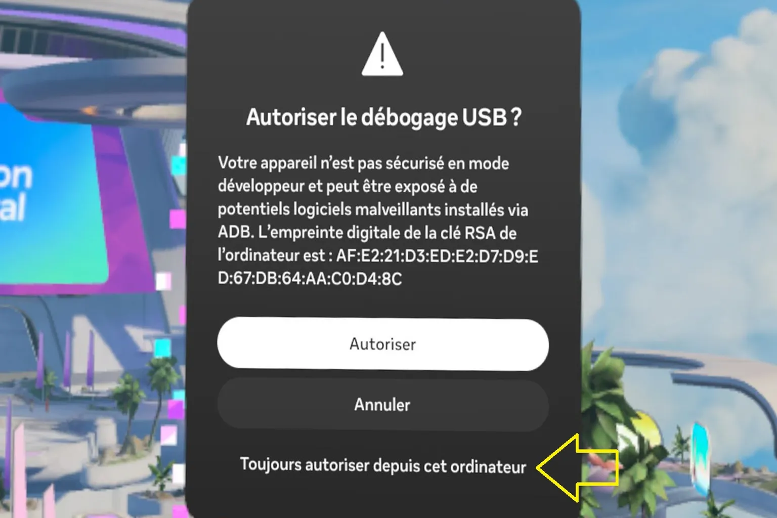 Message français du Meta Quest demandant d’autoriser le débogage USB