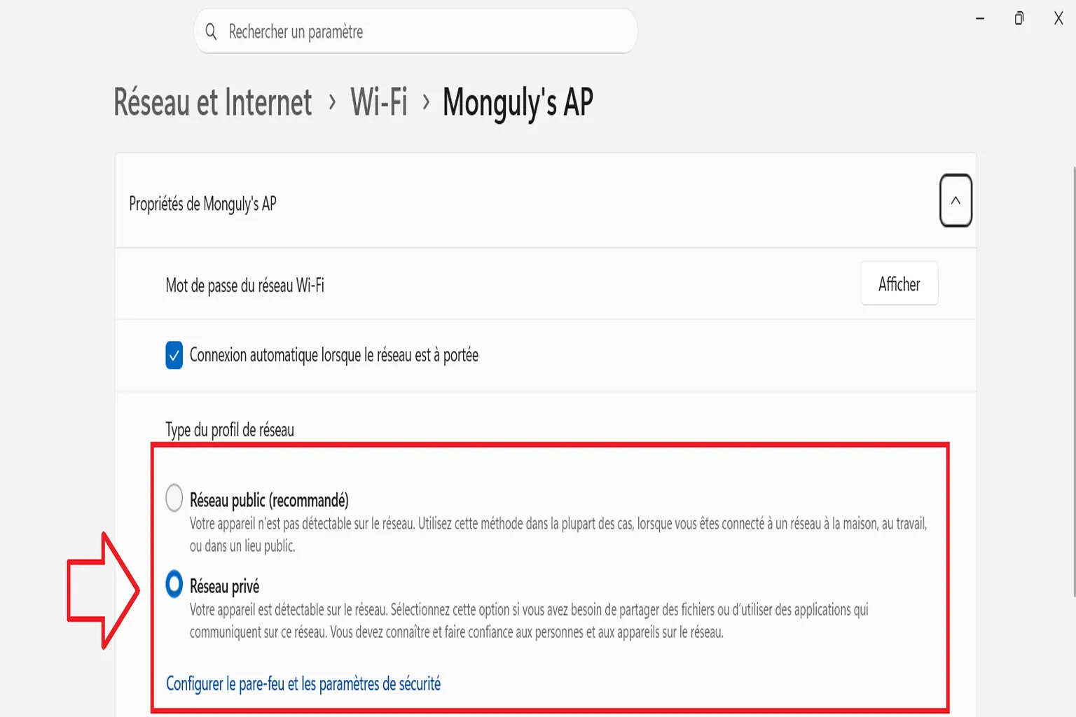 Propriétés Wi-Fi Windows avec le profil Réseau privé sélectionné