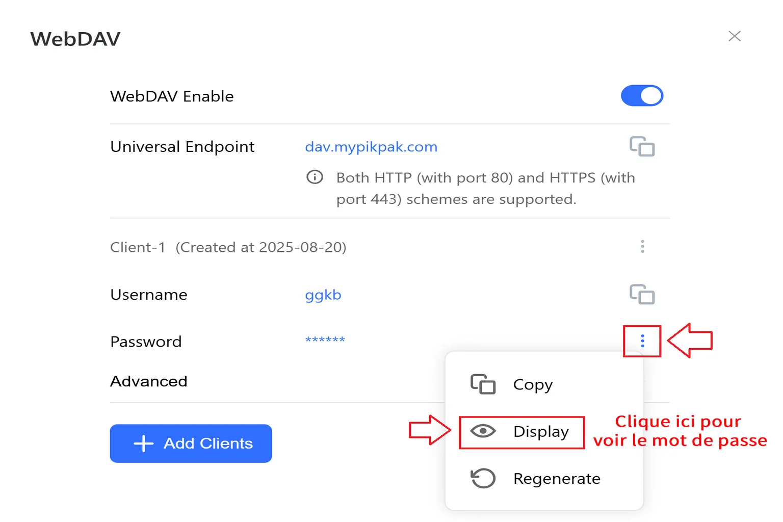Informations WebDAV dans PikPak avec nom d’utilisateur, mot de passe et option d’affichage