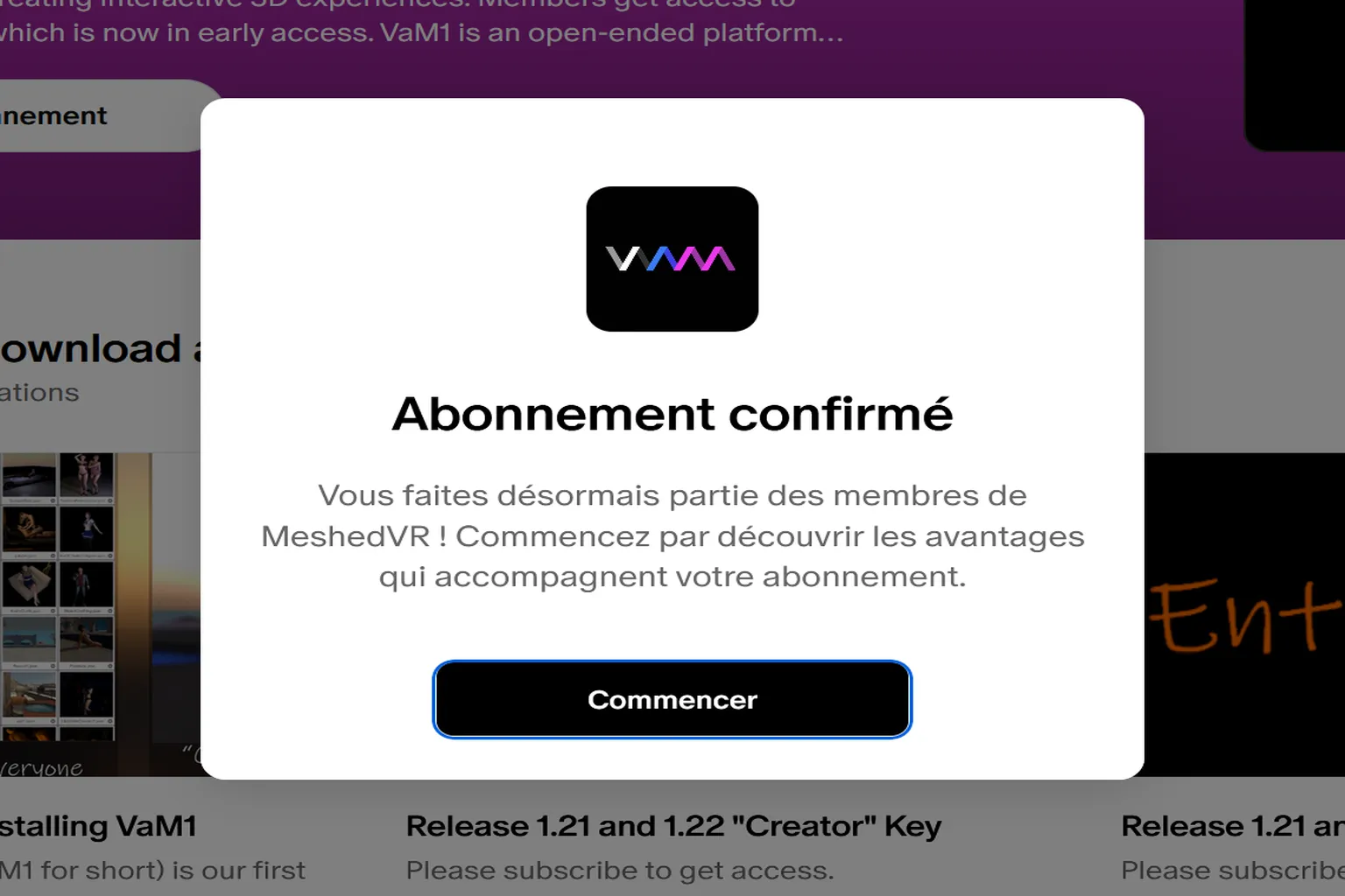 Message Patreon confirmant que l’abonnement MeshedVR est activé