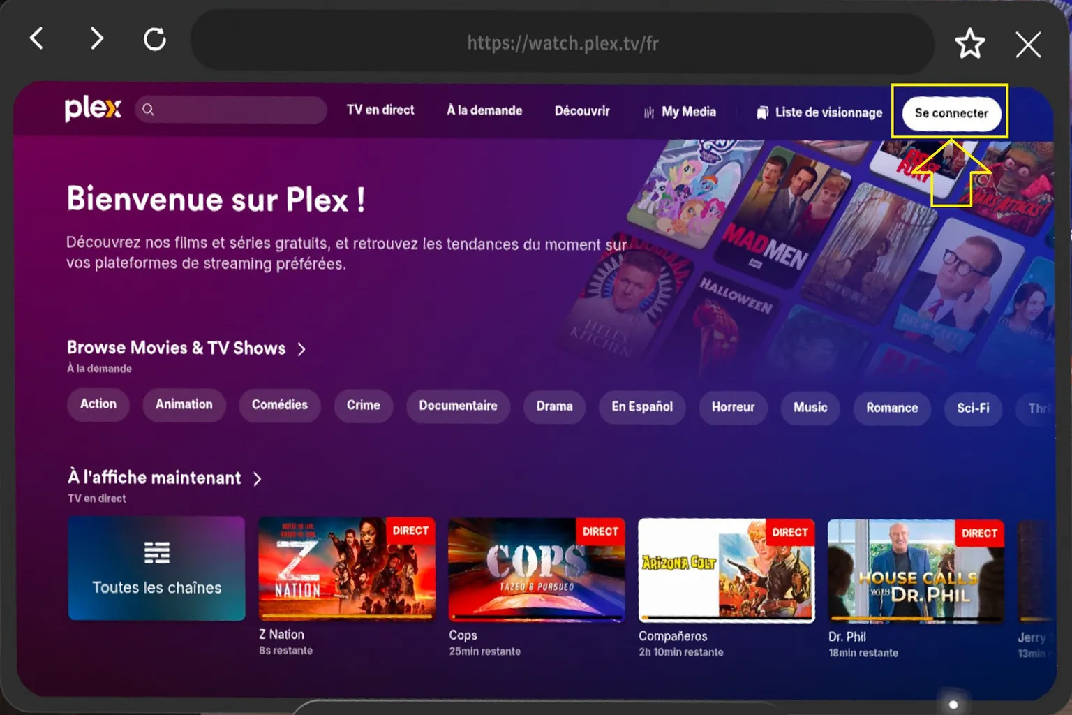 Page d’accueil Plex dans Moon VR avec le bouton de connexion mis en évidence.
