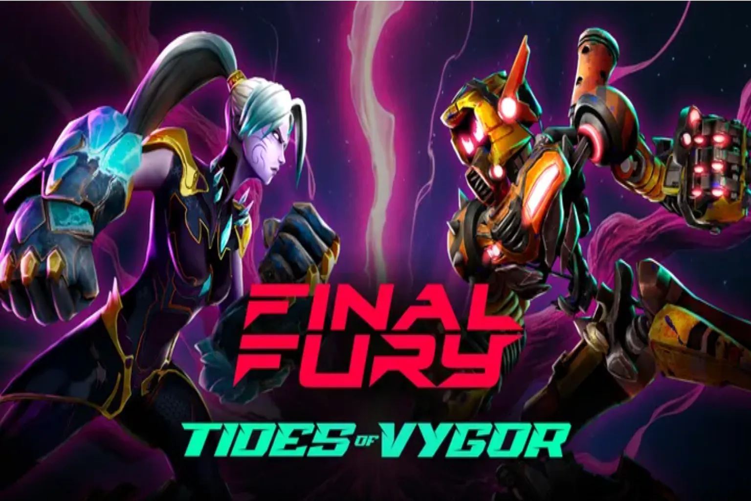FINAL FURY