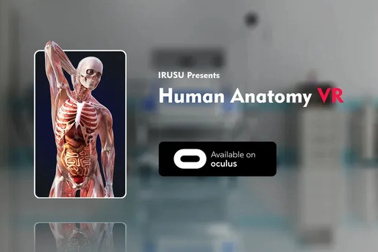 Human Anatomy VR – Medical Education