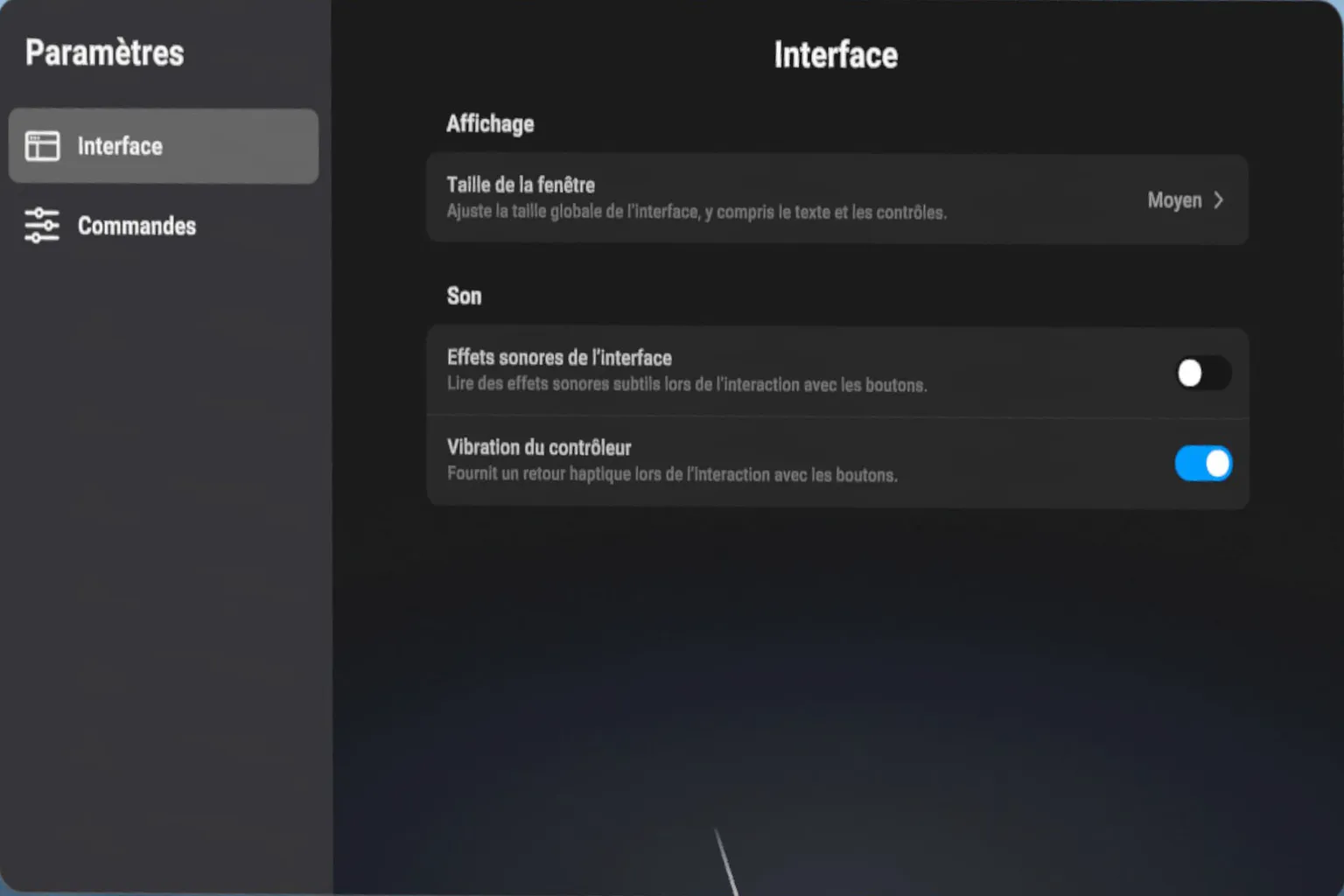 Paramètres de l’interface de NEX Video Player avec réglage de la taille de la fenêtre, des effets sonores et des vibrations de la manette.