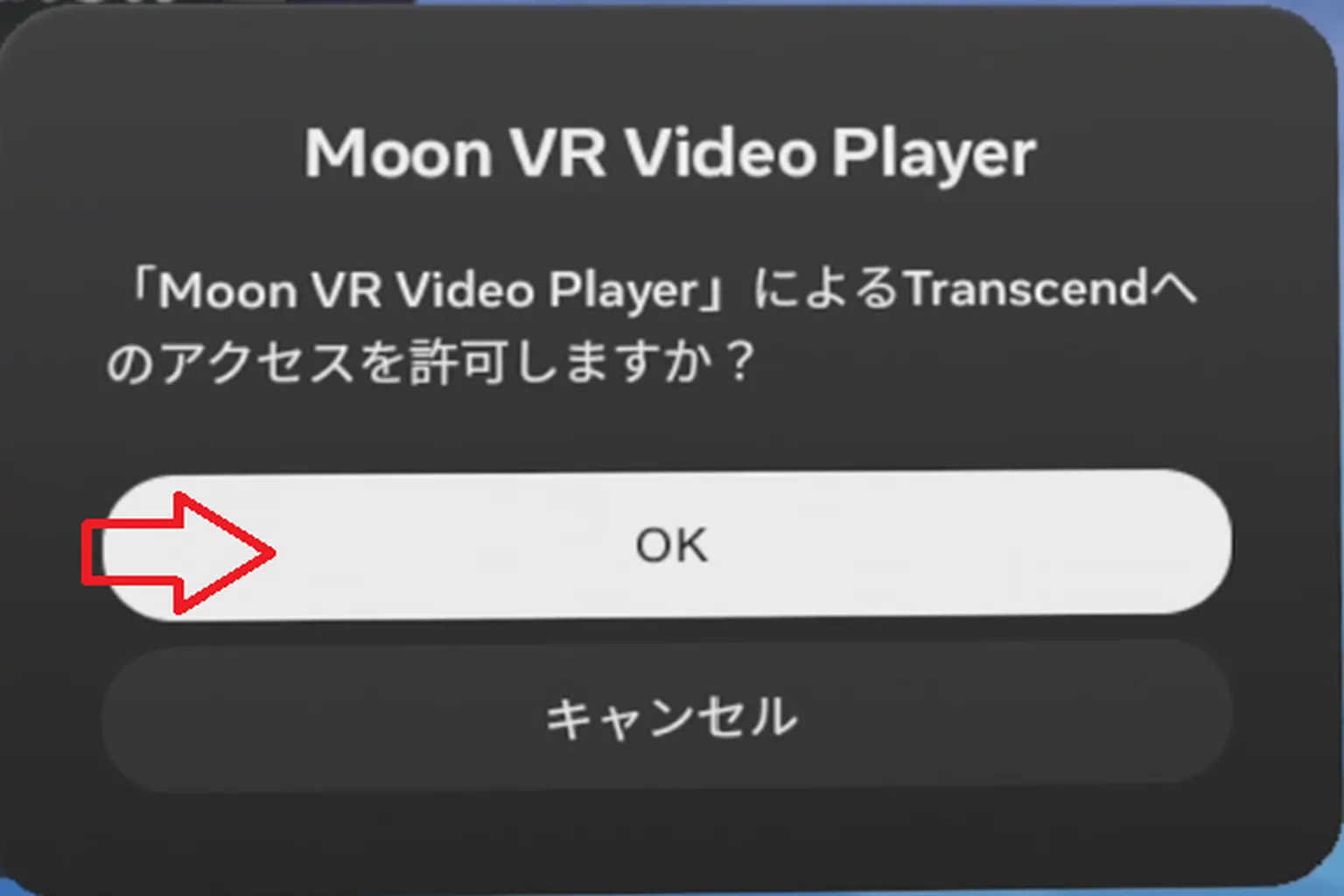Moon VR プレイヤーが外部ストレージへのアクセス許可を求める確認画面。