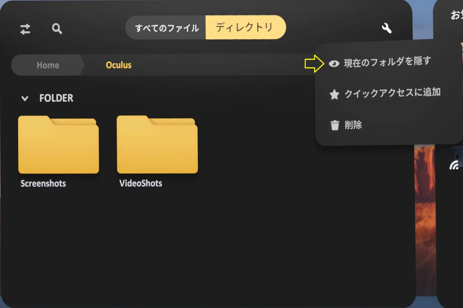 SkyboxでOculus/VideoShotsフォルダの内容が表示され、ファイルを選択して非表示操作を行える。