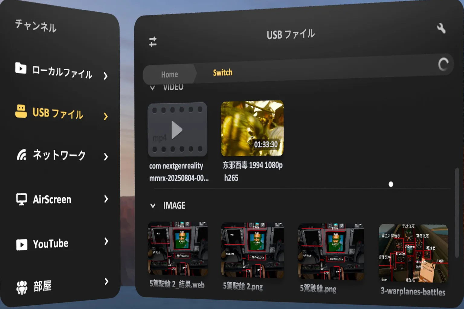 SKYBOXプレイヤーでUSBデバイス内の動画ファイルを開くと、ファイル名とサムネイルが一覧で表示される画面になるよ。