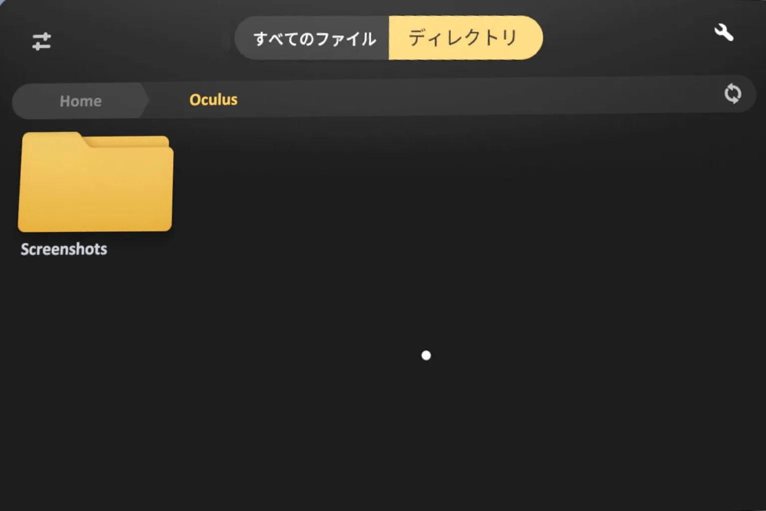 Skyboxのグローバル表示設定画面で、非表示フォルダを表示するオプションが有効になっている。