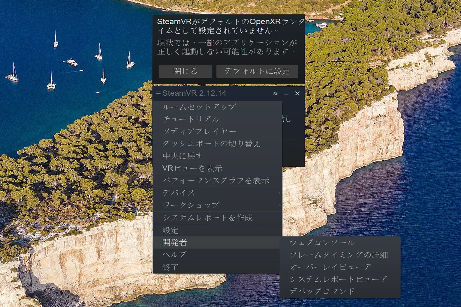 SteamVR メニューの開発者サブメニューには、Web コマンドライン、埋め込みUIビューアー、詳細フレームタイミングなどのツールが表示されているよ。