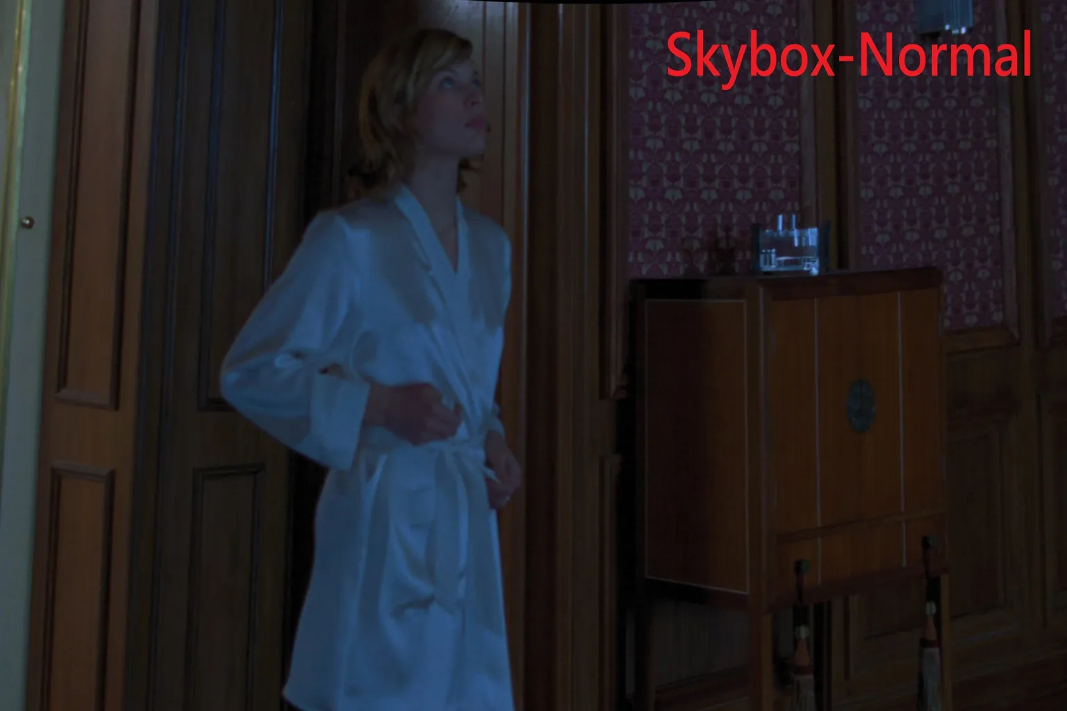 SKYBOX 普通模式播放《惡靈古堡2002》HDR 暗部場景,亮度略優於 4XVR 普通模式,但部分暗部仍略顯模糊。